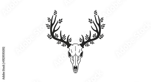 Deer Skull with Antlers and Leaves Illustration.