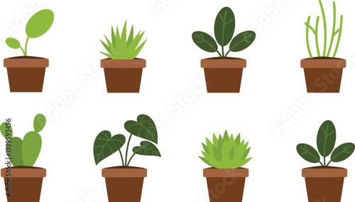 Collection of flat vector indoor potted plant icons including cactus succulents and leafy houseplants in brown pots for home gardening and interior design decoration