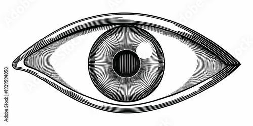 Detailed engraving of a human eye with intricate line work
