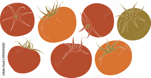 Tomato varieties illustration, colorful drawing, red orange green tomatoes, unique shapes sizes, stems calyx designs, flat graphic artwork, culinary vegetable sketch