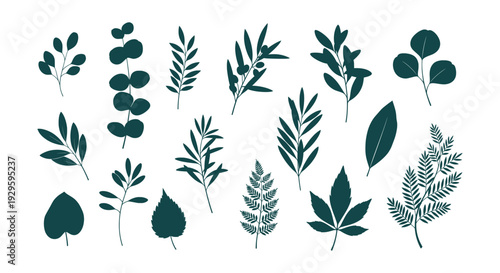 Exotic Tropical Nature Vacation Icons Set Palm Tree Flowers Wildlife Vector Collection