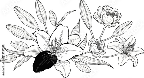 Elegant line art arrangement of lily flowers and buds in varying stages of bloom
