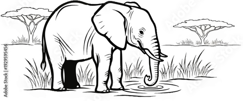 An elephant drinks water from a pond in a savanna with acacia trees