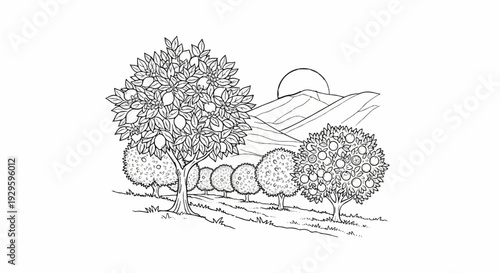 A black and white sketch of a lush citrus grove with distant rolling hills under a sun