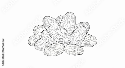 Pile of dried grapes with visible lines and texture, presented in a simple outline drawing