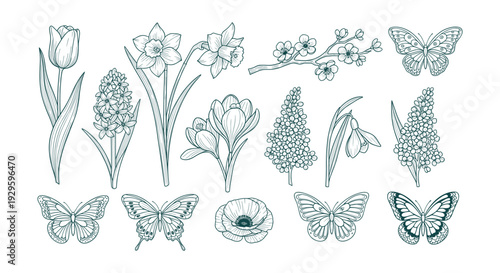 Classic Vintage Baseball Script Typography Design Vector Illustration for Sports Apparel