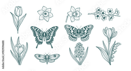 Classic Vintage Baseball Sport Emblem Logo Design Crossed Bats Ball Home Plate