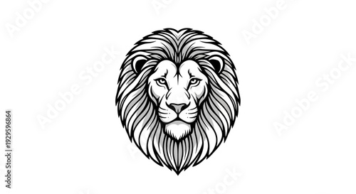 Lion Head Illustration Detailed Black White.