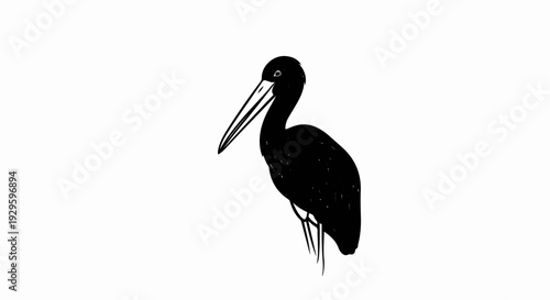 A black silhouette of a bird with a long beak stands on thin legs