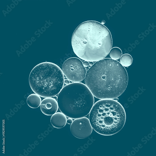 Canvastavla Abstract background with bubbles on a blue colored background in macro photography