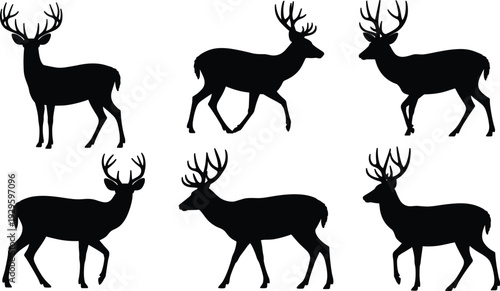 Set of black deer and buck silhouettes with large antlers isolated on white background, wild forest animal collection for hunting, nature, and wildlife conservation design.
