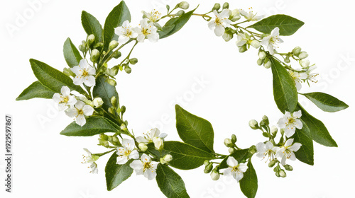 Wallpaper Mural Beautiful watercolor painting of blooming floral wreath featuring white flowers and green leaves, evoking sense of tranquility and nature Torontodigital.ca