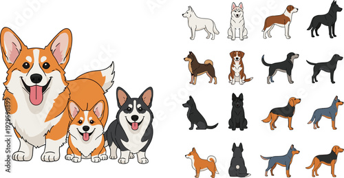 Set of diverse dog breeds including Corgi, Husky, and Shiba Inu, featuring colorful cartoon illustrations and black silhouettes on white background, isolated vector,