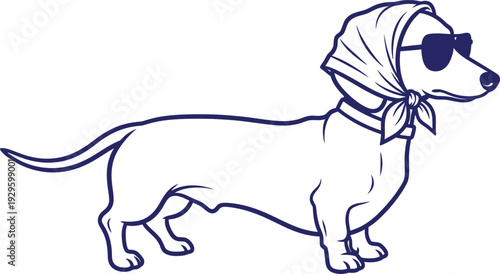 A dachshund wearing sunglasses and a headscarf standing sideways