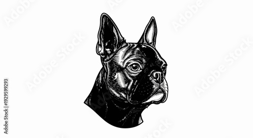 Detailed black and white sketch of a French Bulldog head