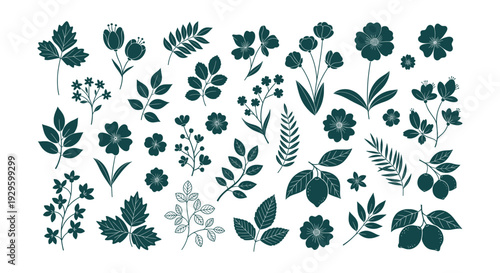 Exotic Tropical Jungle Safari Wildlife Botanical Vector Silhouette Design Elements Collection
