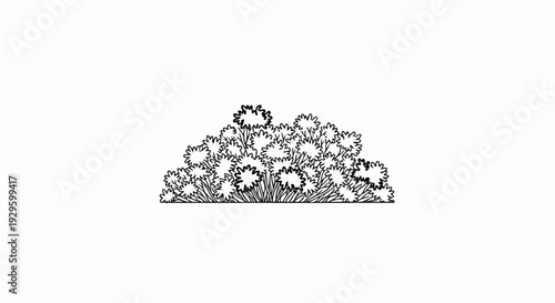 A stylized black and white illustration of a dense cluster of small, star-shaped flowers