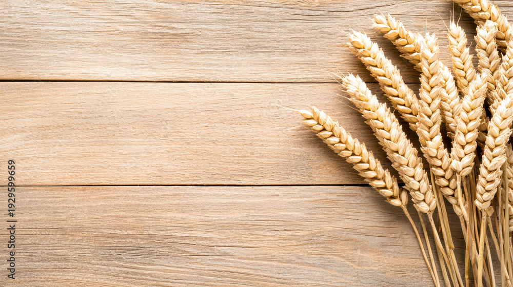 custom made wallpaper toronto digitalWheat grains arranged on rustic wooden surface create warm and inviting atmosphere, perfect for agricultural themes