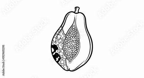 A black and white line drawing shows a papaya cut in half, revealing its seeds and flesh