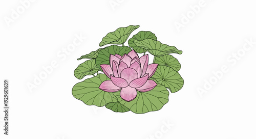A delicate pink lotus flower blooms surrounded by lush green lily pads