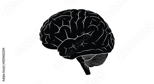 A striking depiction of the human brain s complex structure shown in a stark contrasting form a silhouette