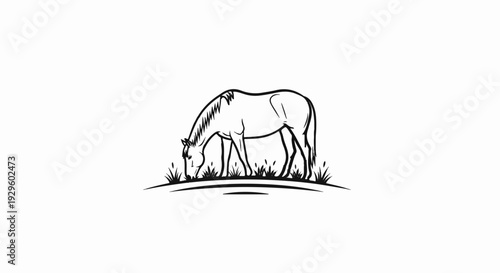 Sketch of a horse grazing in a field of grass on a white background