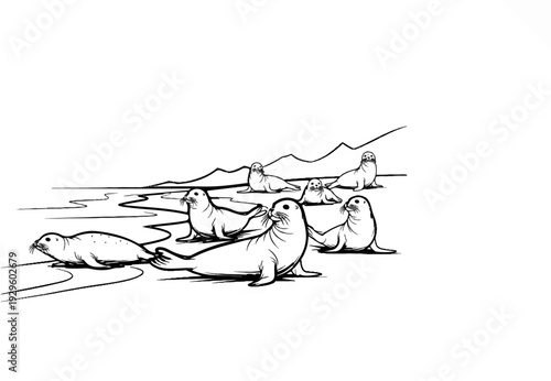 A group of seals rests on an icy shore with distant mountains under a white sky