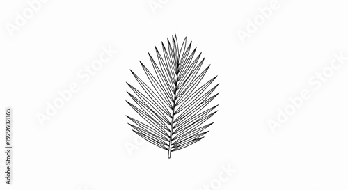 A single black and white sketch of a palm frond, rendered with fine lines
