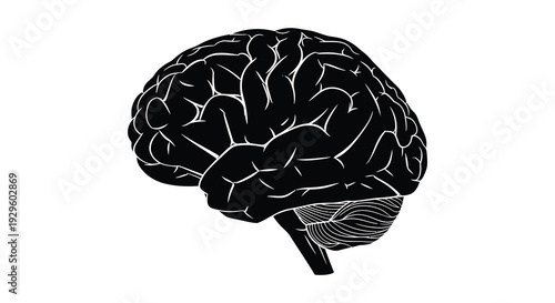 A striking black depiction of the human brain s complex structure rendered as a bold silhouette high quality professional detailed