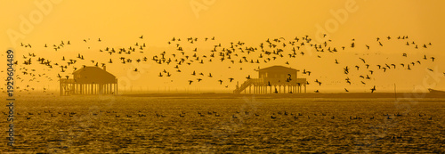 Panel kuchenny z motywem Les Cabanes Tchanquées, sur l'île aux Oiseaux, au milieu du Bassin d'Arcachon en Gironde sont l'une des attractions touristiques les plus visitées.