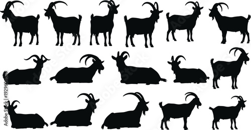 Goat silhouette collection set, domestic farm animal vector illustration with standing and lying poses, black isolated livestock icons on white background