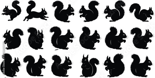 Set of squirrel silhouettes in various poses, cute woodland animal black icons isolated on white background,