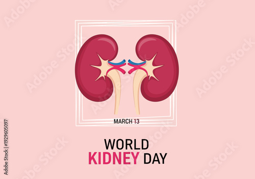 World kidney day illustration with human kidney anatomy graphic