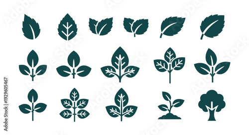 Elegant Vintage Blue Floral Decorative Ornament Border Design with Leaves, Buds, and Ribbon Accents