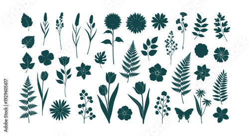 Detailed Vector Set Fresh Italian Mediterranean Food Ingredients Seafood Drinks Herbs Icons Collection