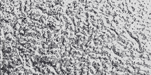 Close-up abstract texture with a dense granular pattern and irregular porous formations in grayscale black and white