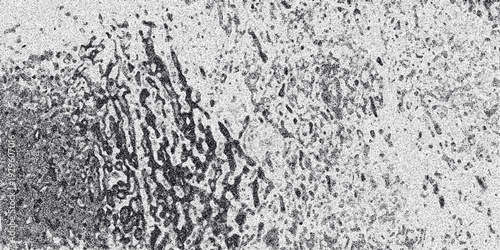 Abstract monochrome textured surface with irregular, organic blotches and streaks of dark gray against a grainy white background, evoking a natural or weathered appearance