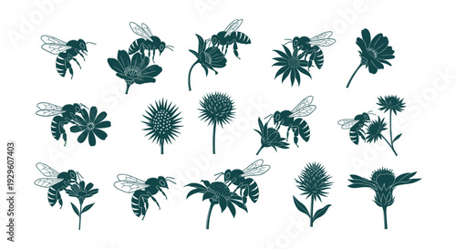 Detailed Honey Bee and Wildflower Vector Silhouettes Collection Pollination Nature Design Elements