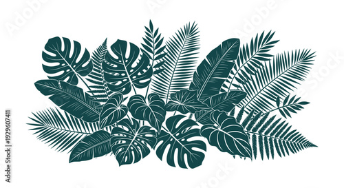 Exotic Tropical Jungle Leaves Vector Illustration Botanical Foliage Design Background Frame