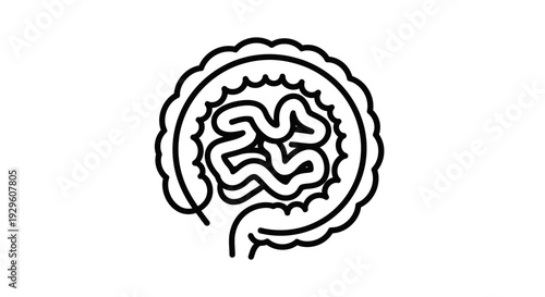 Simple Line Drawing of Human Brain Anatomy.