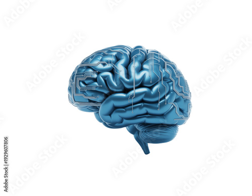 A detailed illustration of a human brain with intricate neural structures highlighted. isolated on transparent background