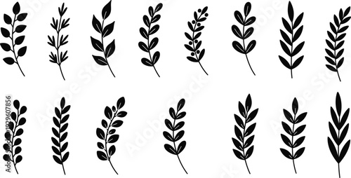 Collection of botanical elements, black leaf branches and sprigs for design