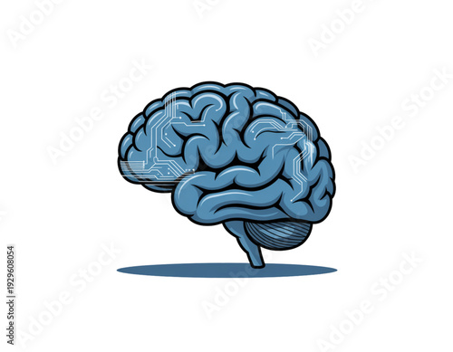Illustration of a human brain highlighting its intricate and complex structure isolated on transparent background