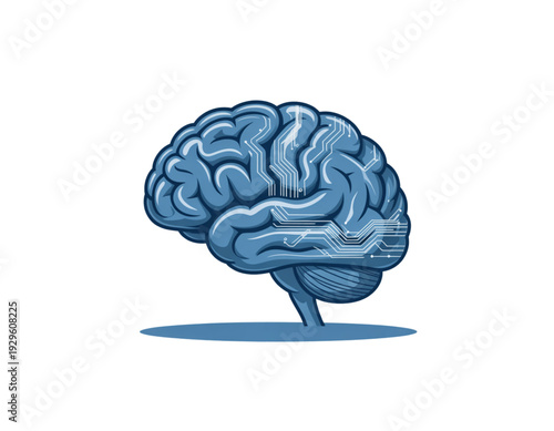 Anatomical illustration of a human brain highlighting its complex structure and folds isolated on transparent background