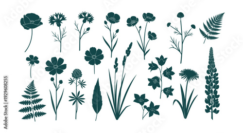 Elegant Wildflower and Meadow Botanical Silhouette Collection Floral Herbs Leaves Vector Set