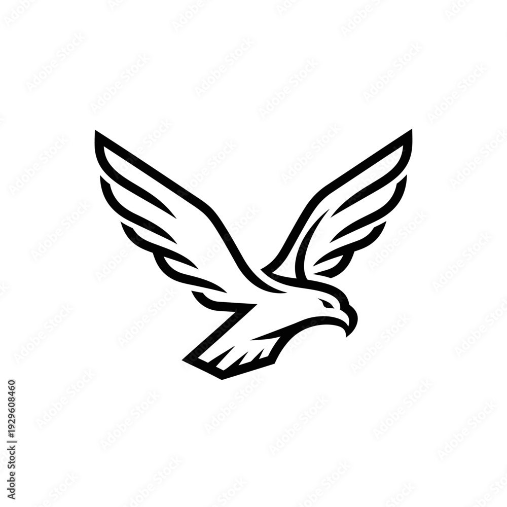 Fototapeta premium Black and White Eagle Illustration Soaring.