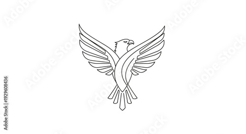 Bird in flight with outstretched wings.