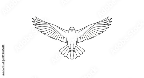 Bird Flying with Spread Wings Upwards.