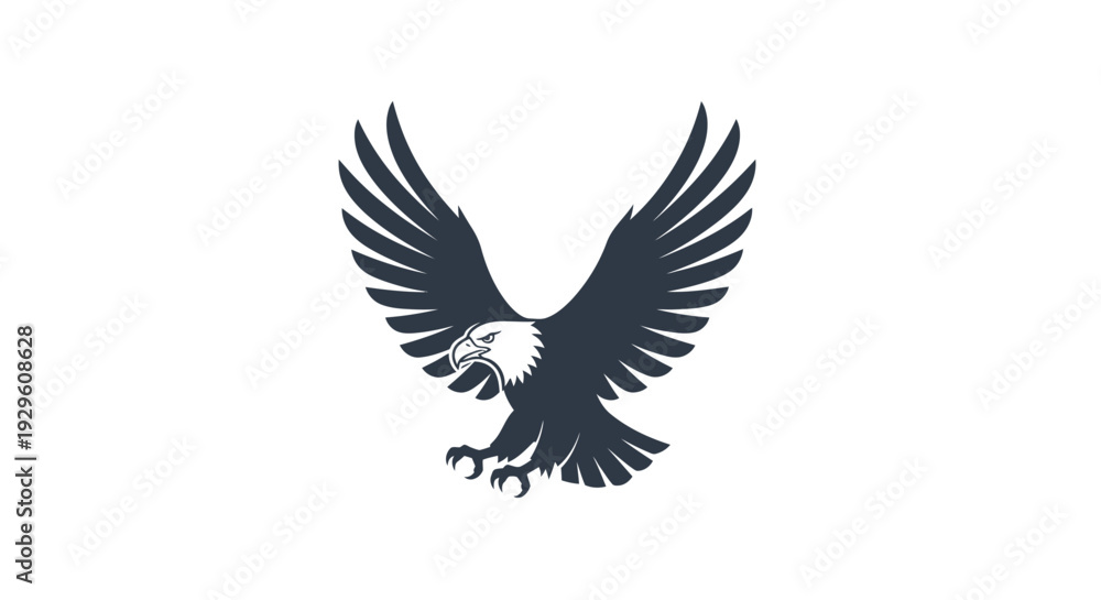 Fototapeta premium Black eagle in flight isolated.