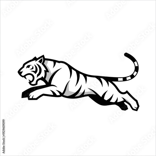 Black and White Tiger Illustration Running.